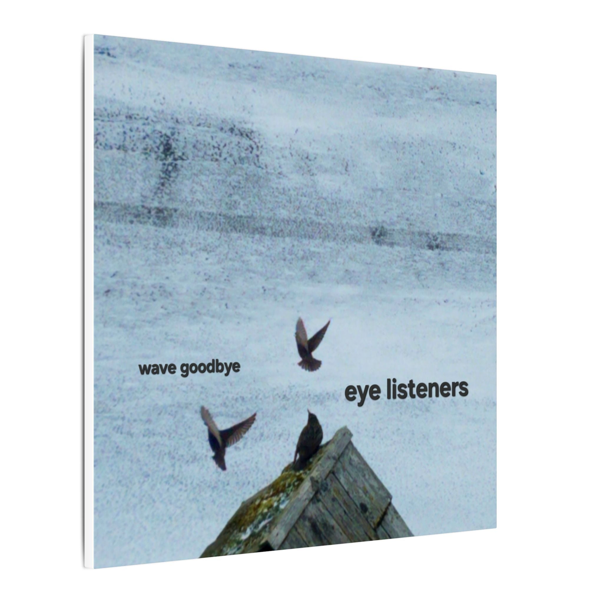 'Eye Listeners - Wave Goodbye' Matte Canvas, Stretched, 0.75"