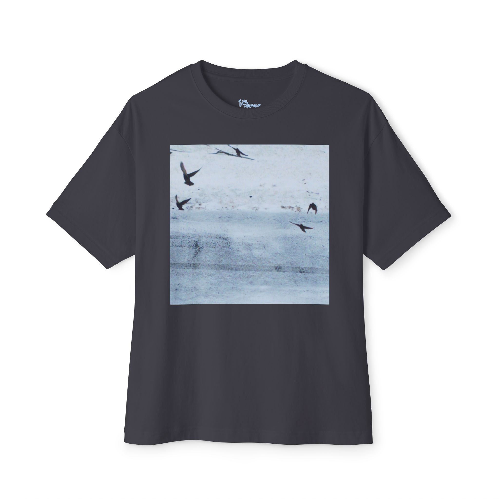 'Birds' Unisex Oversized Boxy Tee