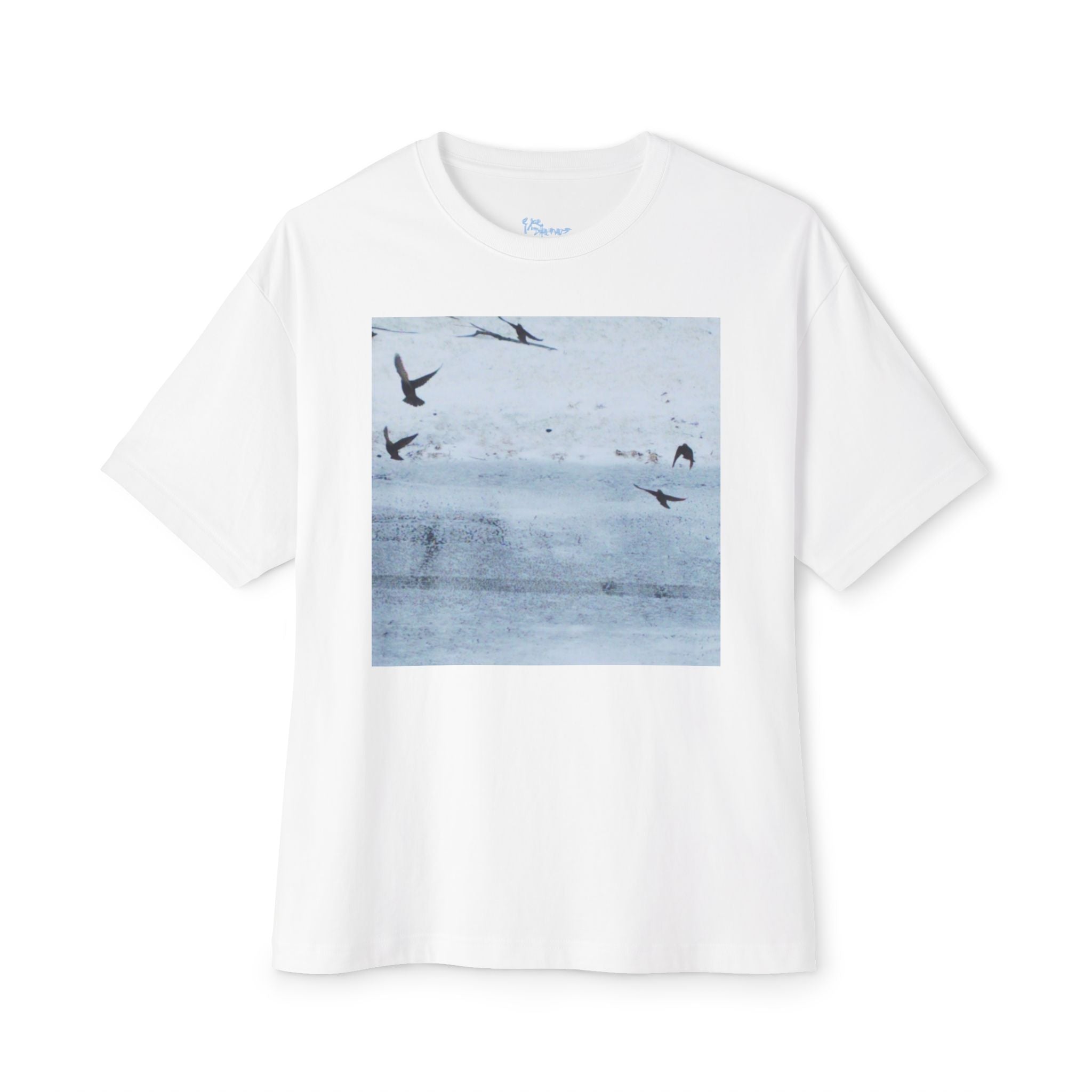 'Birds' Unisex Oversized Boxy Tee