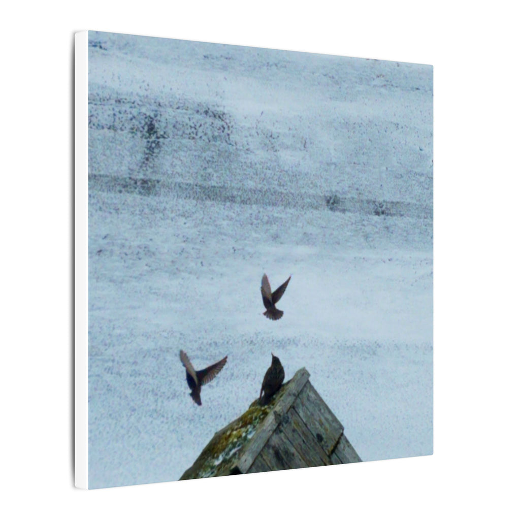 'Wave Goodbye Too' Matte Canvas, Stretched, 0.75"
